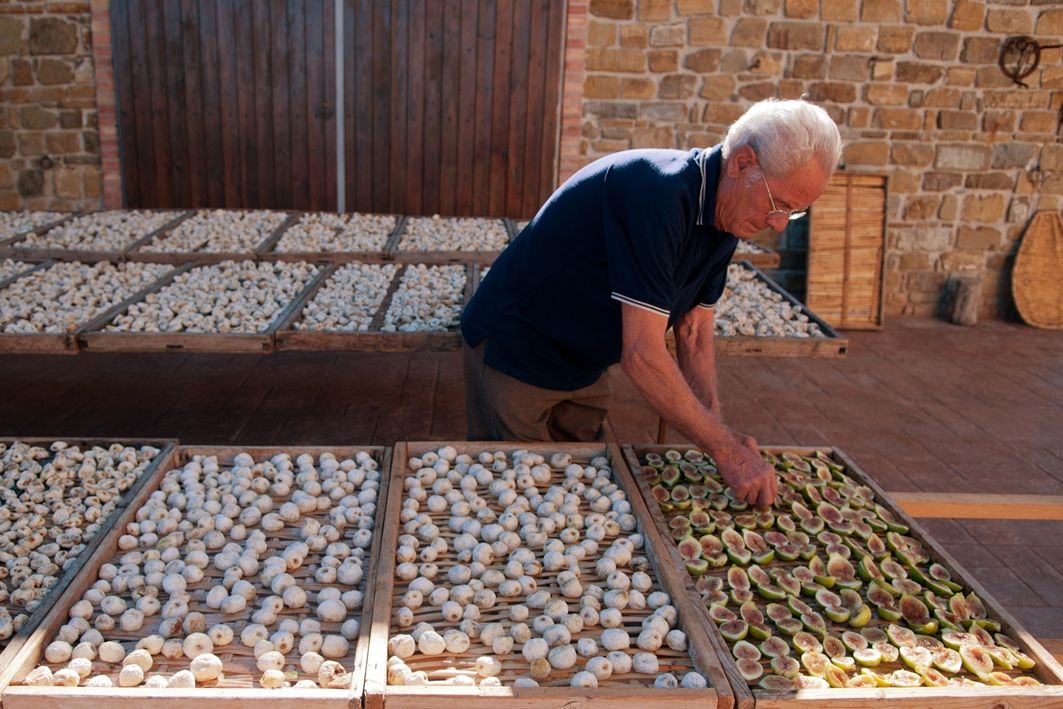 Essiccazione Fichi Al Sole